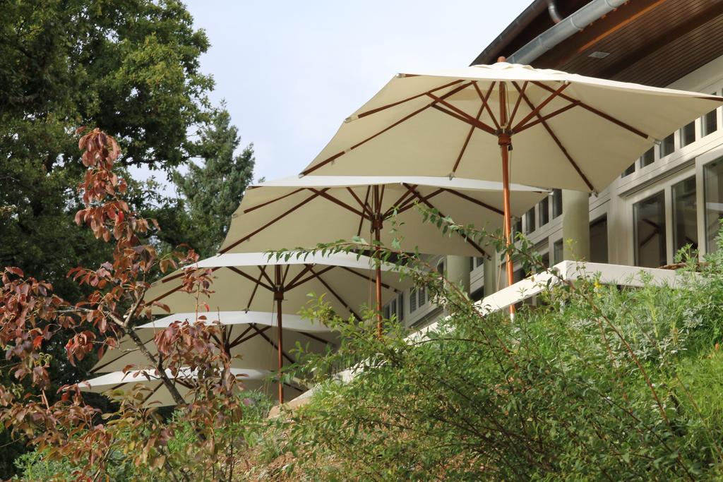Hotel Rural Misarela เจเรส ภายนอก รูปภาพ